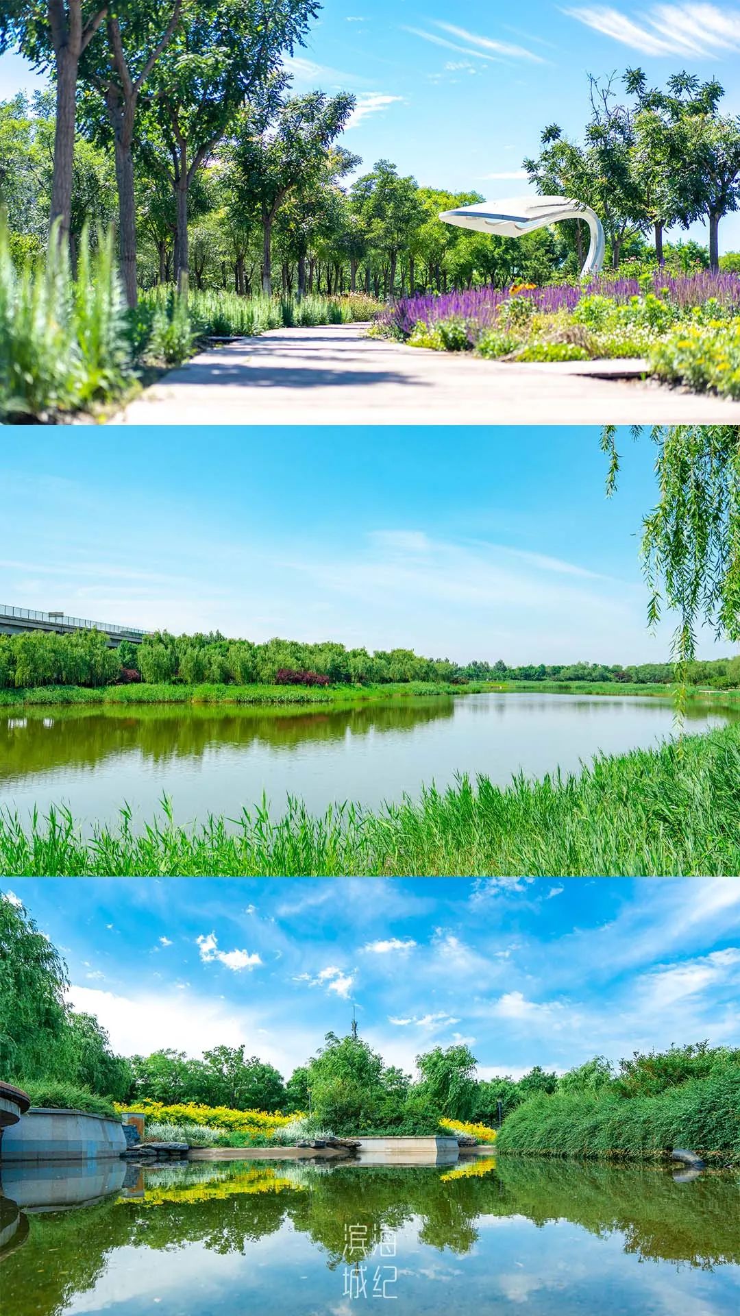 a774e04fc44eb1220366d026eb04f875.jpg a774e04fc44eb1220366d026eb04f875.jpg