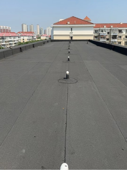 d017fa548743a99f419d9be2b9423d4f.png d017fa548743a99f419d9be2b9423d4f.png