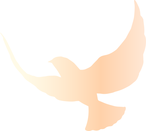 fdb00916d5d0e539deb6ce298d099e4e.png fdb00916d5d0e539deb6ce298d099e4e.png