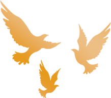 0167009d80851064fff06bb6bf5a83d2.png 0167009d80851064fff06bb6bf5a83d2.png