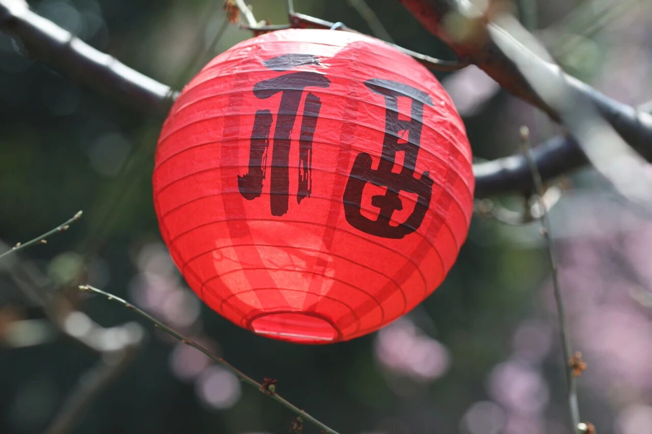 0cfbd1b527f6f5b3ab5fbebf34b76d9d.jpg 0cfbd1b527f6f5b3ab5fbebf34b76d9d.jpg